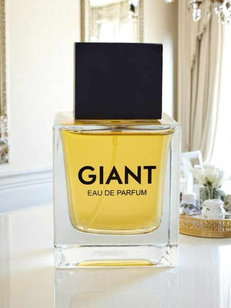 Inšpirovaná eau de parfum pre mužov Giant Silver