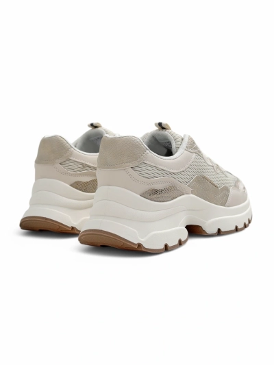 Royalfashion dámske športové sneakers Totter