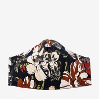 Hnědý || Velbloud || Černá