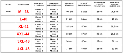 Pánske tmavošedé tepláky s pruhmi - Oblečenie