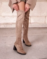 svetlohnedá || hnedý