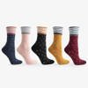 Dámske farebné ponožky 5 / balenie - Ponožky